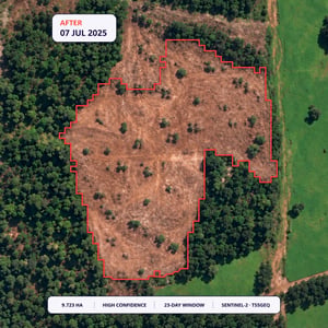 Satellite image from 7 July 2025 showing a detected 9.723 hectare vegetation clearing area outlined in red