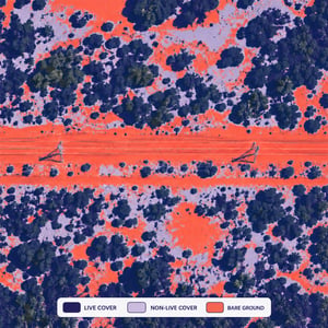 AI vegetation classification showing live cover, non-live cover and bare ground around a transmission corridor