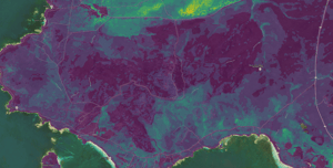 Image-04-Bushfire