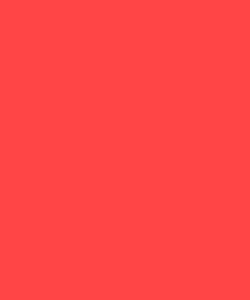 Brand Style Exemple-4-VIBRANT CRIMSON