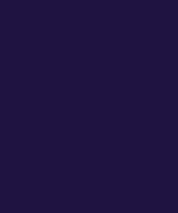 Brand Style Exemple-5-DEEP INDIGO