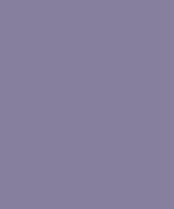 Brand Style Exemple-6-MIDNIGHT BLUE